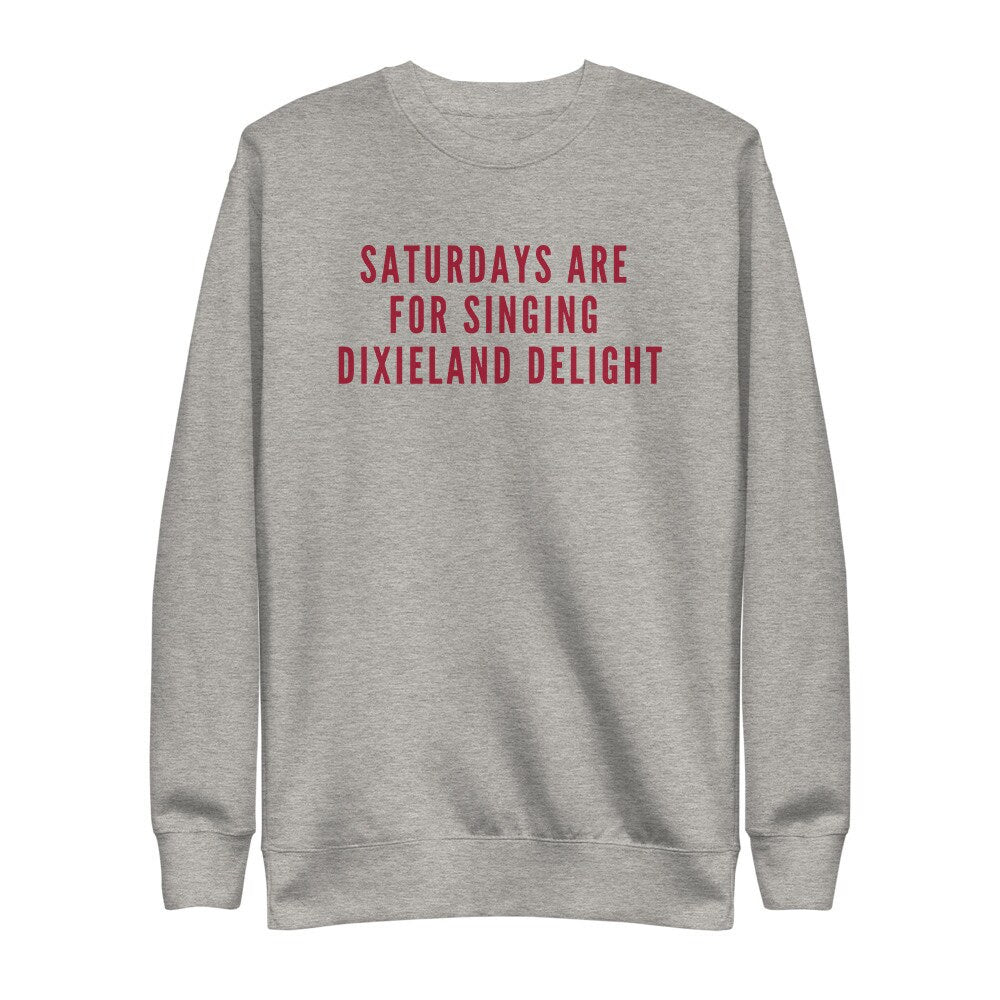 Saturdays Are For Singing Dixieland Delight Pullover