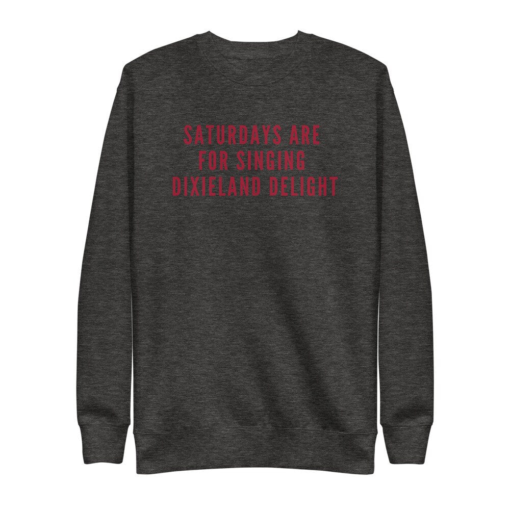 Saturdays Are For Singing Dixieland Delight Pullover