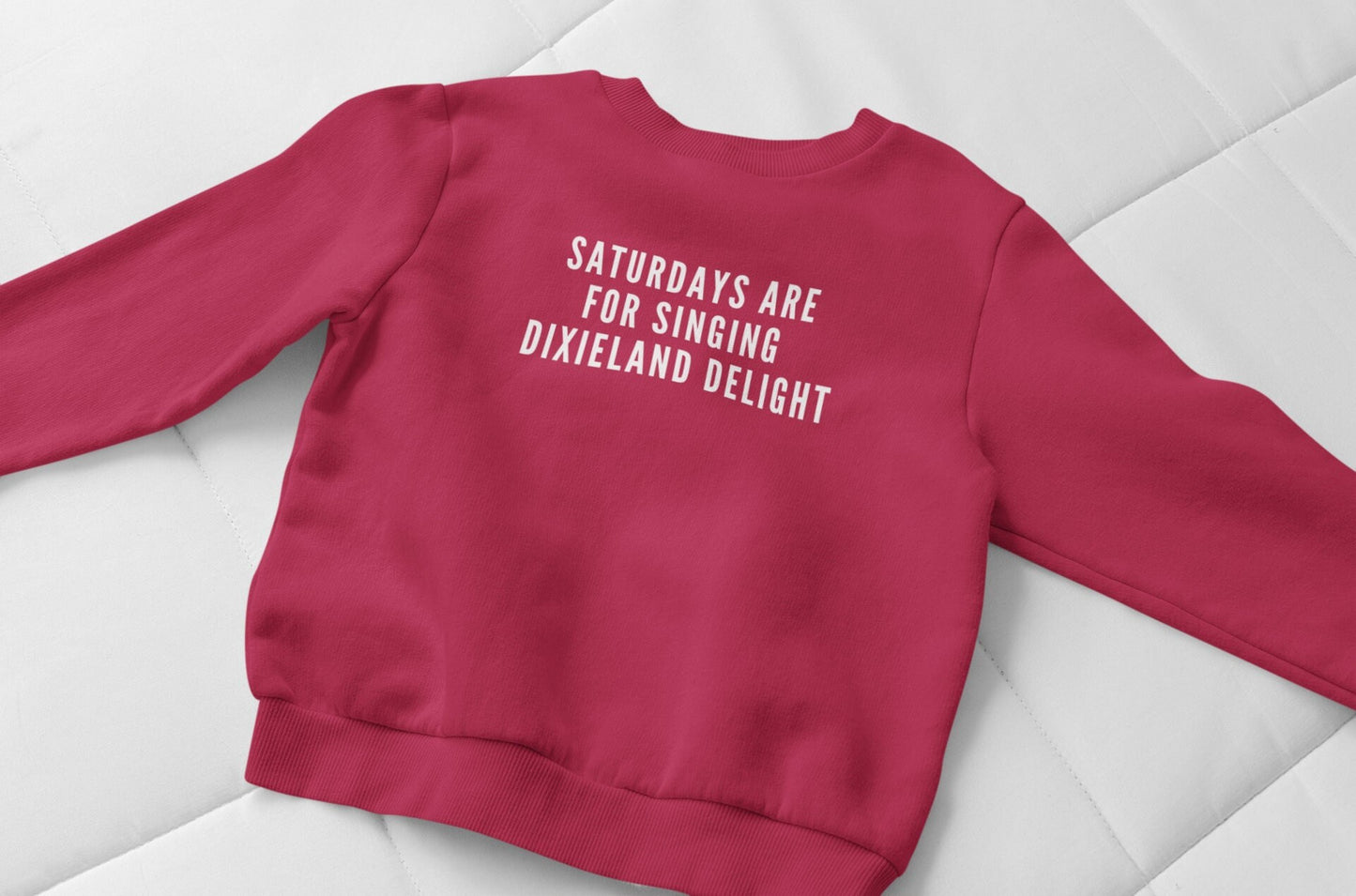 Saturdays Are For Singing Dixieland Delight Pullover